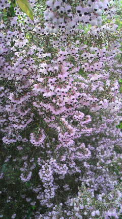 2020031309300001.jpg