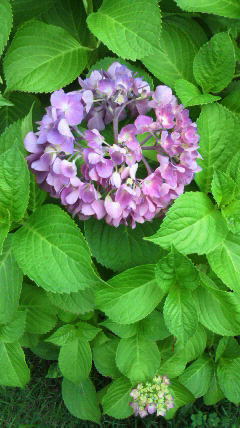 2020060614370000.jpg