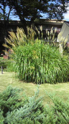 2020082912530000.jpg