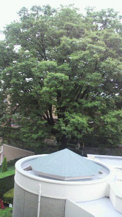 2020092612490000.jpg